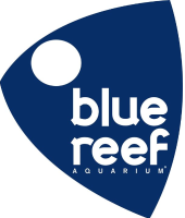 blue reef logo
