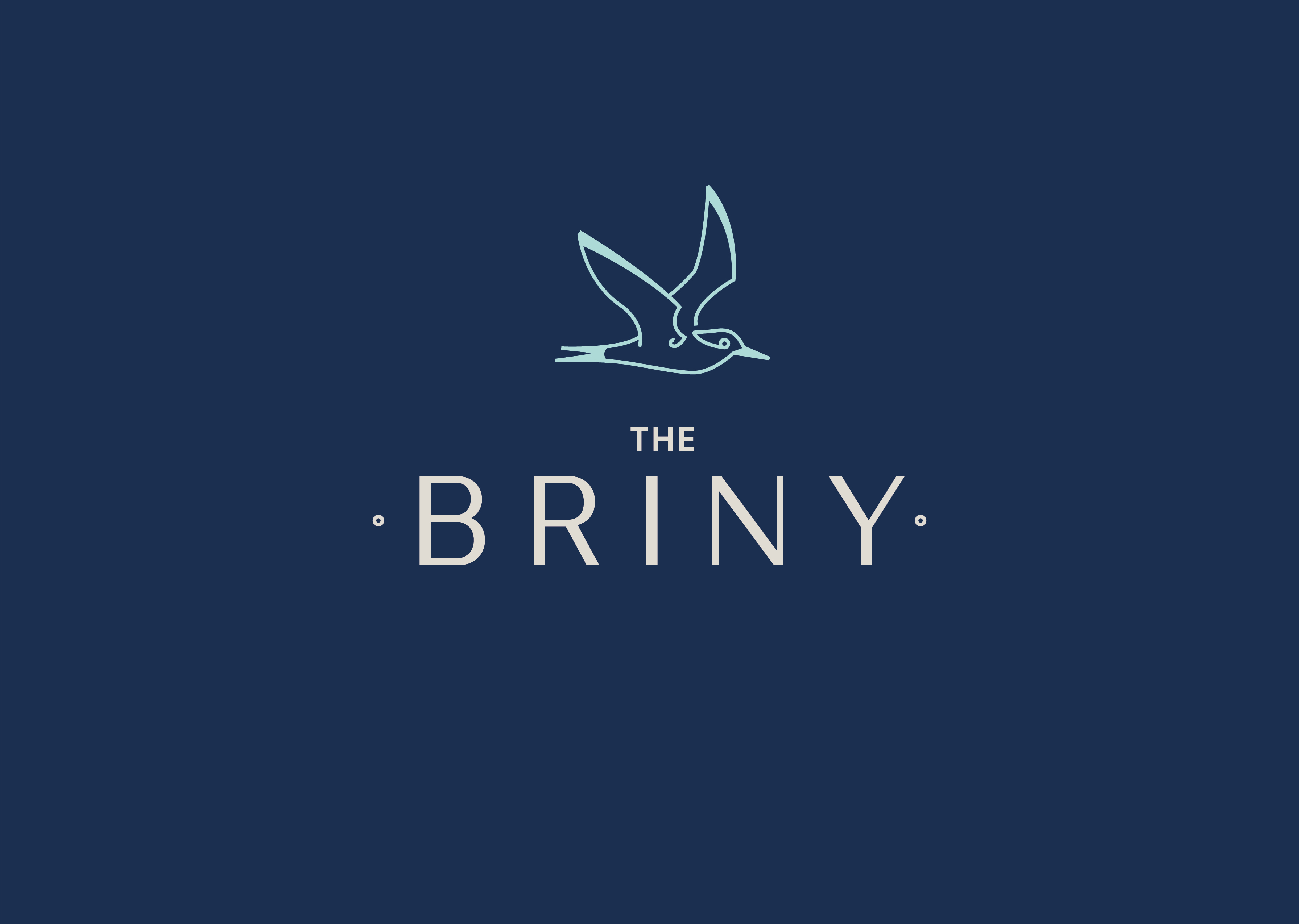 briny logo
